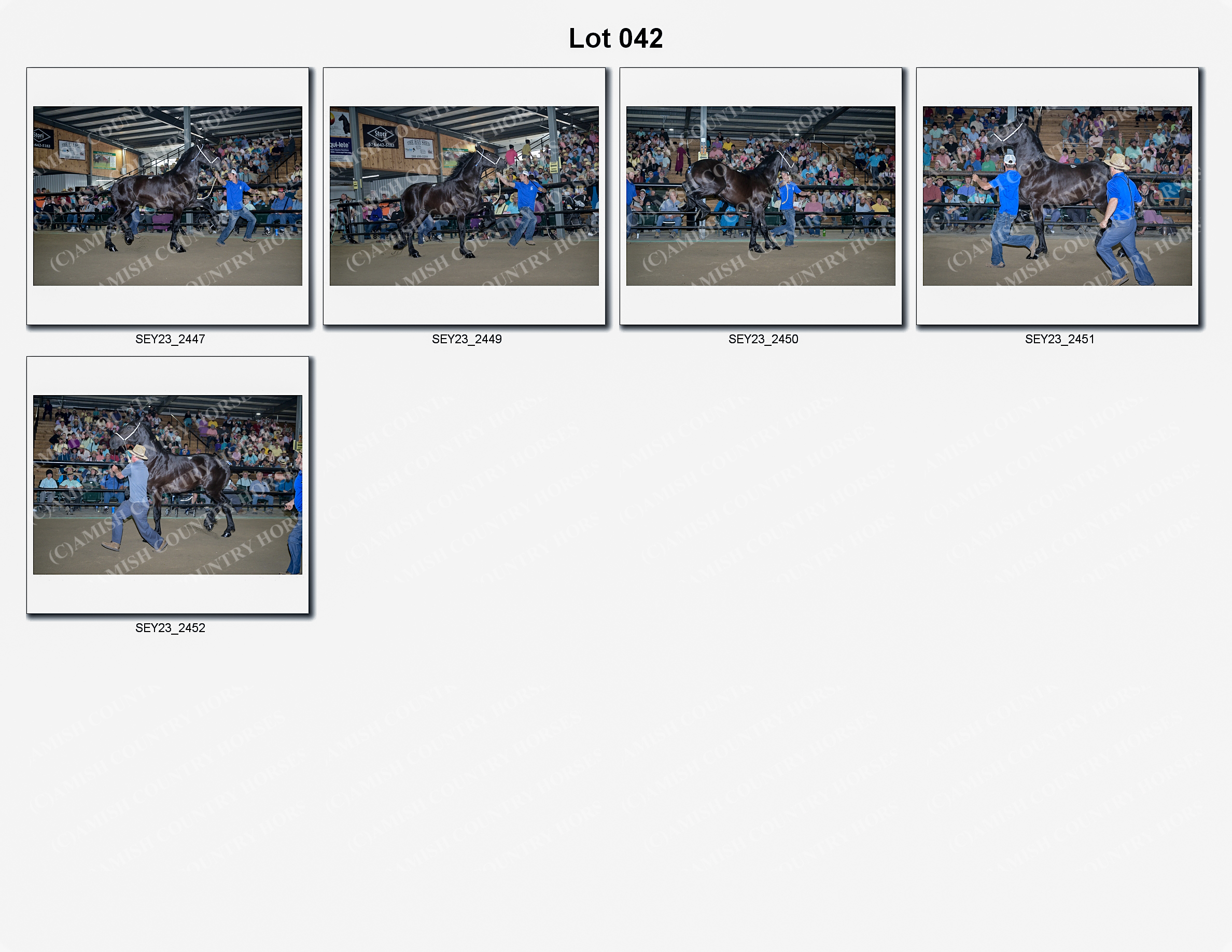 2023 Seymour Draft Sale